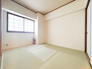 apartment 東京都立川市錦町２丁目6-2 ステラNKビル1F