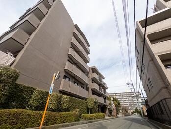 apartment 東京都立川市錦町２丁目6-2 ステラNKビル1F