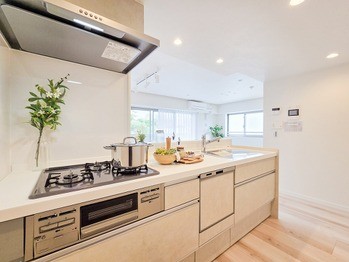 apartment 東京都立川市錦町２丁目6-2 ステラNKビル1F