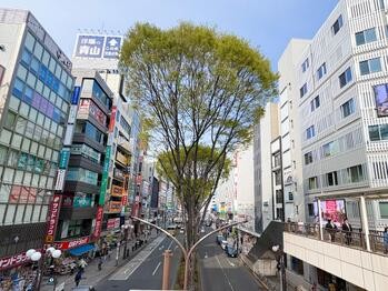 apartment 東京都立川市錦町２丁目6-2 ステラNKビル1F