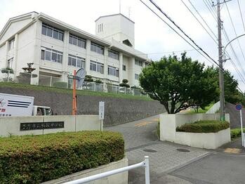 apartment 東京都立川市錦町２丁目6-2 ステラNKビル1F