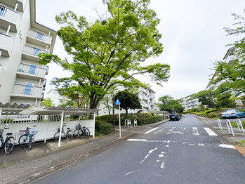 apartment 東京都立川市錦町２丁目6-2 ステラNKビル1F