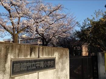apartment 東京都立川市錦町２丁目6-2 ステラNKビル1F