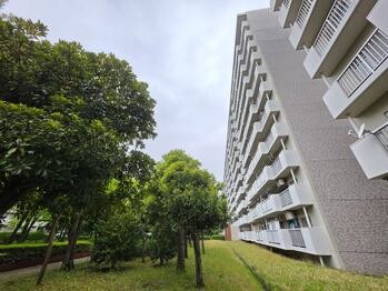 apartment 東京都立川市錦町２丁目6-2 ステラNKビル1F