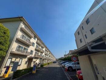 apartment 東京都立川市錦町２丁目6-2 ステラNKビル1F