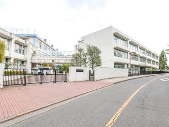apartment 東京都立川市錦町２丁目6-2 ステラNKビル1F