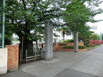 apartment 東京都立川市錦町２丁目6-2 ステラNKビル1F