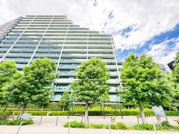 apartment 東京都立川市錦町２丁目6-2 ステラNKビル1F