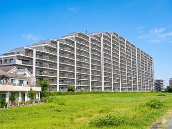 apartment 東京都立川市錦町２丁目6-2 ステラNKビル1F