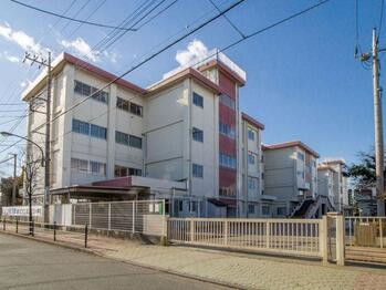 apartment 東京都立川市錦町２丁目6-2 ステラNKビル1F