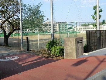 apartment 東京都立川市錦町２丁目6-2 ステラNKビル1F