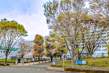 apartment 東京都立川市錦町２丁目6-2 ステラNKビル1F