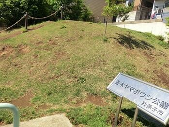 apartment 東京都立川市錦町２丁目6-2 ステラNKビル1F
