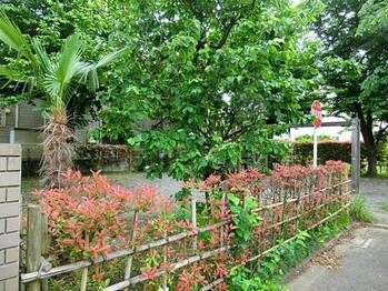 apartment 東京都立川市錦町２丁目6-2 ステラNKビル1F