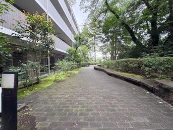 apartment 東京都立川市錦町２丁目6-2 ステラNKビル1F