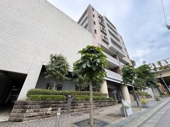 apartment 東京都立川市錦町２丁目6-2 ステラNKビル1F