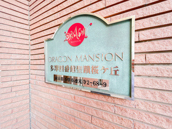 apartment 東京都立川市錦町２丁目6-2 ステラNKビル1F