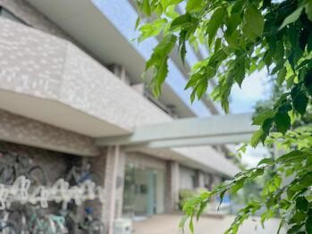 apartment 東京都立川市錦町２丁目6-2 ステラNKビル1F