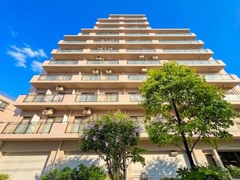 apartment 東京都立川市錦町２丁目6-2 ステラNKビル1F
