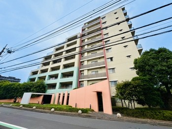 apartment 東京都立川市錦町２丁目6-2 ステラNKビル1F