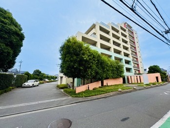 apartment 東京都立川市錦町２丁目6-2 ステラNKビル1F