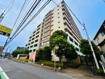 apartment 東京都立川市錦町２丁目6-2 ステラNKビル1F