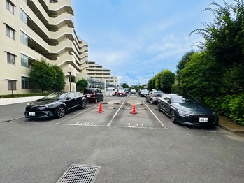 apartment 東京都立川市錦町２丁目6-2 ステラNKビル1F