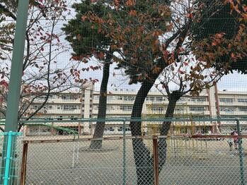 apartment 東京都立川市錦町２丁目6-2 ステラNKビル1F
