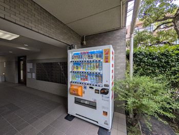apartment 東京都立川市錦町２丁目6-2 ステラNKビル1F