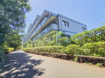 apartment 東京都立川市錦町２丁目6-2 ステラNKビル1F