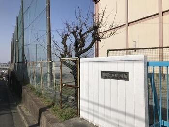 apartment 東京都立川市錦町２丁目6-2 ステラNKビル1F