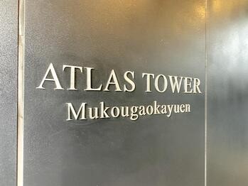 apartment 東京都立川市錦町２丁目6-2 ステラNKビル1F