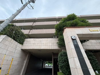 apartment 東京都立川市錦町２丁目6-2 ステラNKビル1F