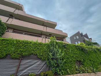 apartment 東京都立川市錦町２丁目6-2 ステラNKビル1F