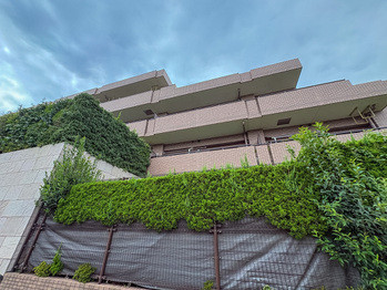 apartment 東京都立川市錦町２丁目6-2 ステラNKビル1F
