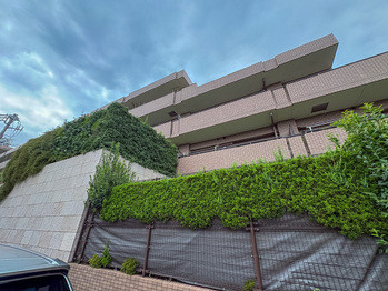 apartment 東京都立川市錦町２丁目6-2 ステラNKビル1F