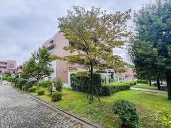 apartment 東京都立川市錦町２丁目6-2 ステラNKビル1F