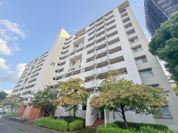 apartment 東京都立川市錦町２丁目6-2 ステラNKビル1F