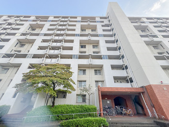 apartment 東京都立川市錦町２丁目6-2 ステラNKビル1F