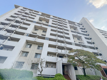 apartment 東京都立川市錦町２丁目6-2 ステラNKビル1F