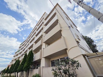 apartment 東京都立川市錦町２丁目6-2 ステラNKビル1F
