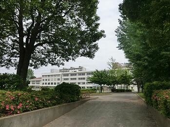 apartment 東京都立川市錦町２丁目6-2 ステラNKビル1F