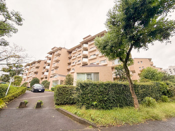 apartment 東京都立川市錦町２丁目6-2 ステラNKビル1F