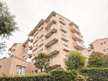 apartment 東京都立川市錦町２丁目6-2 ステラNKビル1F