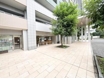 apartment 東京都立川市錦町２丁目6-2 ステラNKビル1F