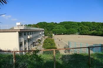 apartment 東京都立川市錦町２丁目6-2 ステラNKビル1F