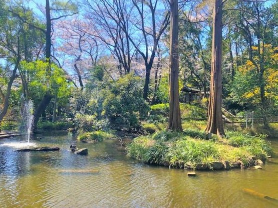 apartment 東京都荒川区西日暮里２丁目39-7　ＧＳハイム日暮里101