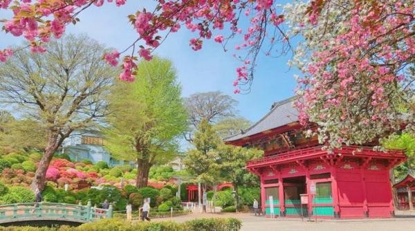 apartment 東京都荒川区西日暮里２丁目39-7　ＧＳハイム日暮里101