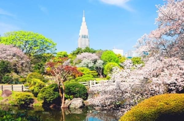 apartment 東京都荒川区西日暮里２丁目39-7　ＧＳハイム日暮里101