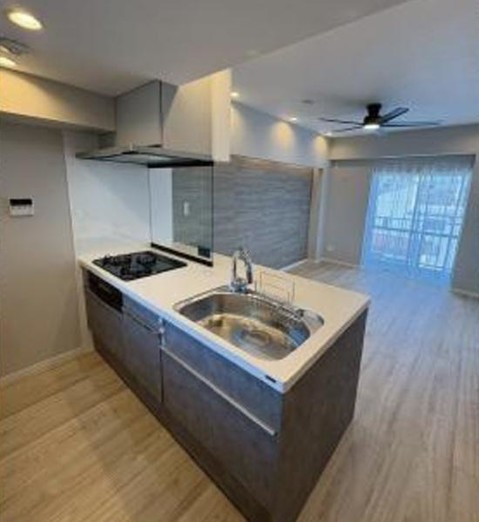 apartment 東京都荒川区西日暮里２丁目39-7　ＧＳハイム日暮里101